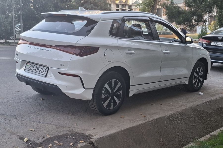 BYD e2 2024