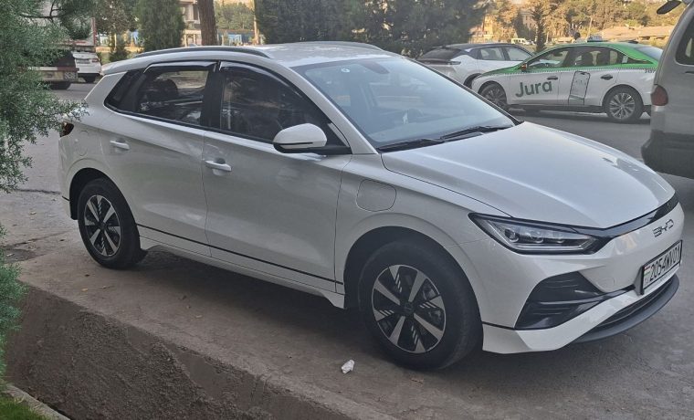 BYD e2 2024