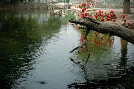 Tour to Shahrituz spring